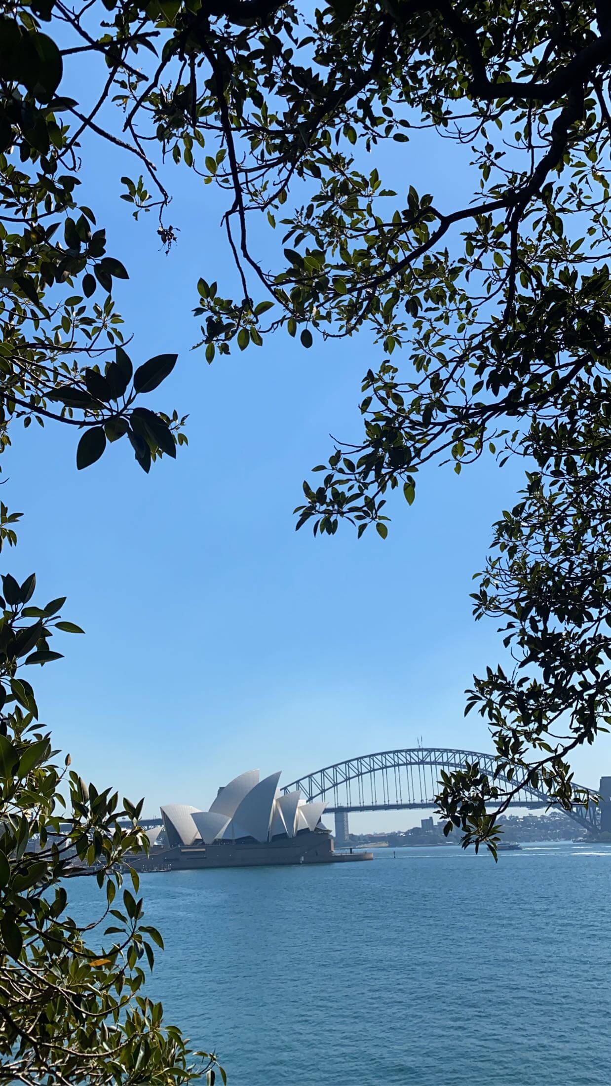 Blick auf das Sydney Opera House